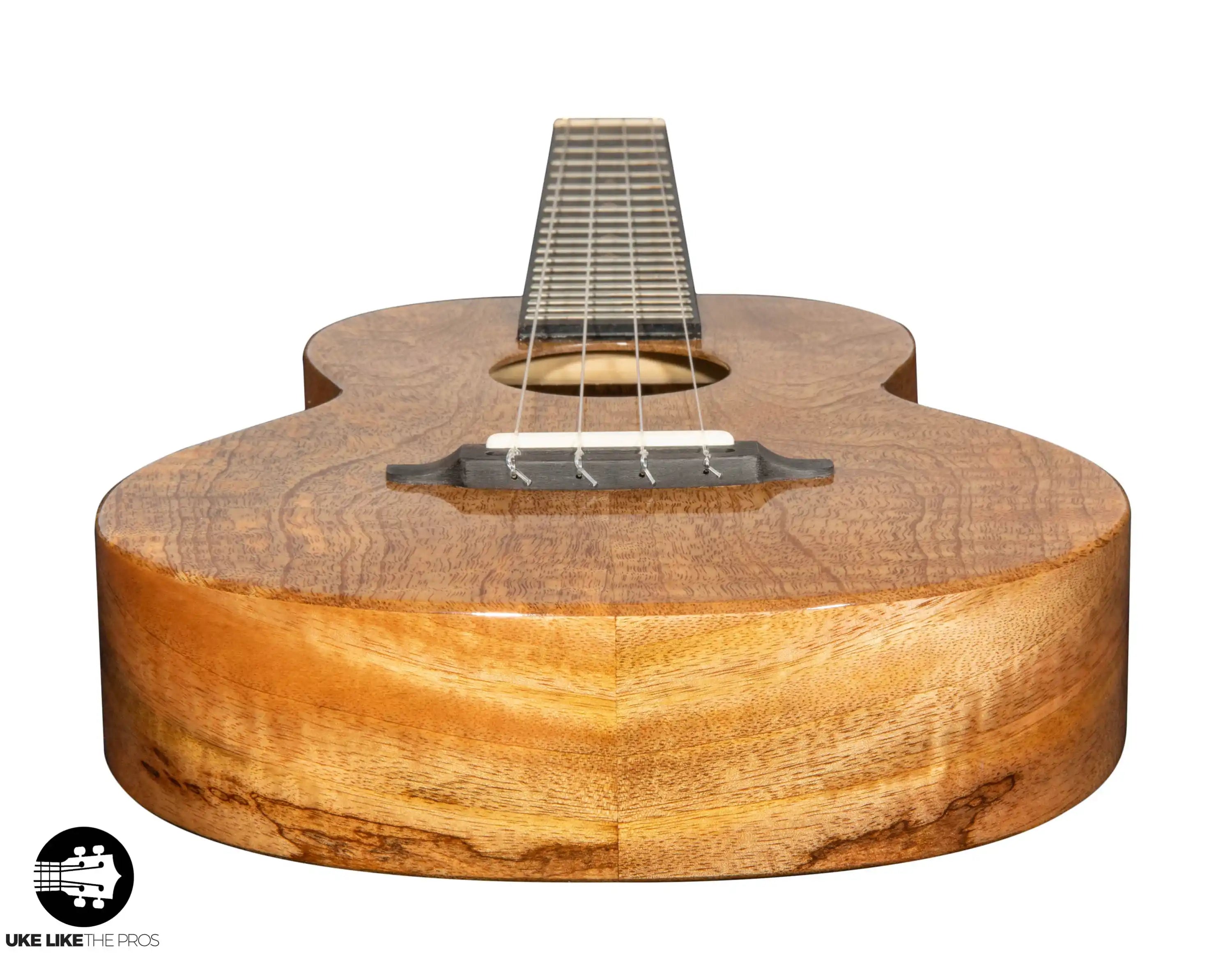 RebelArwen_001 | Terry Carter Music Store