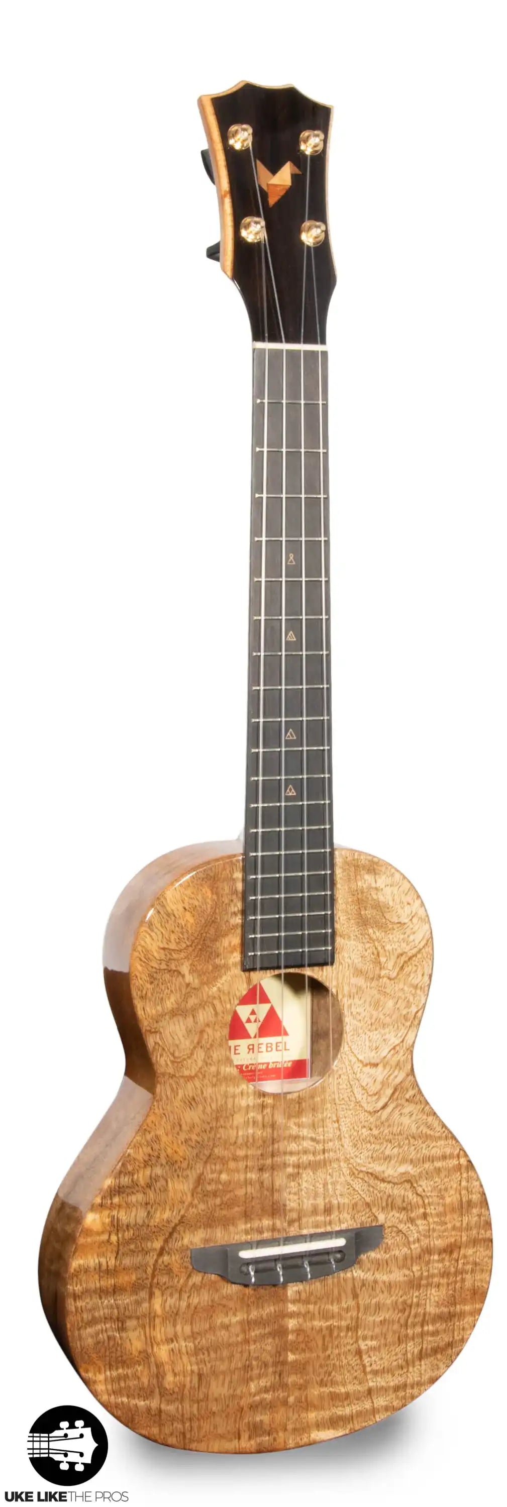 RebelArwen_002-2 | Terry Carter Music Store