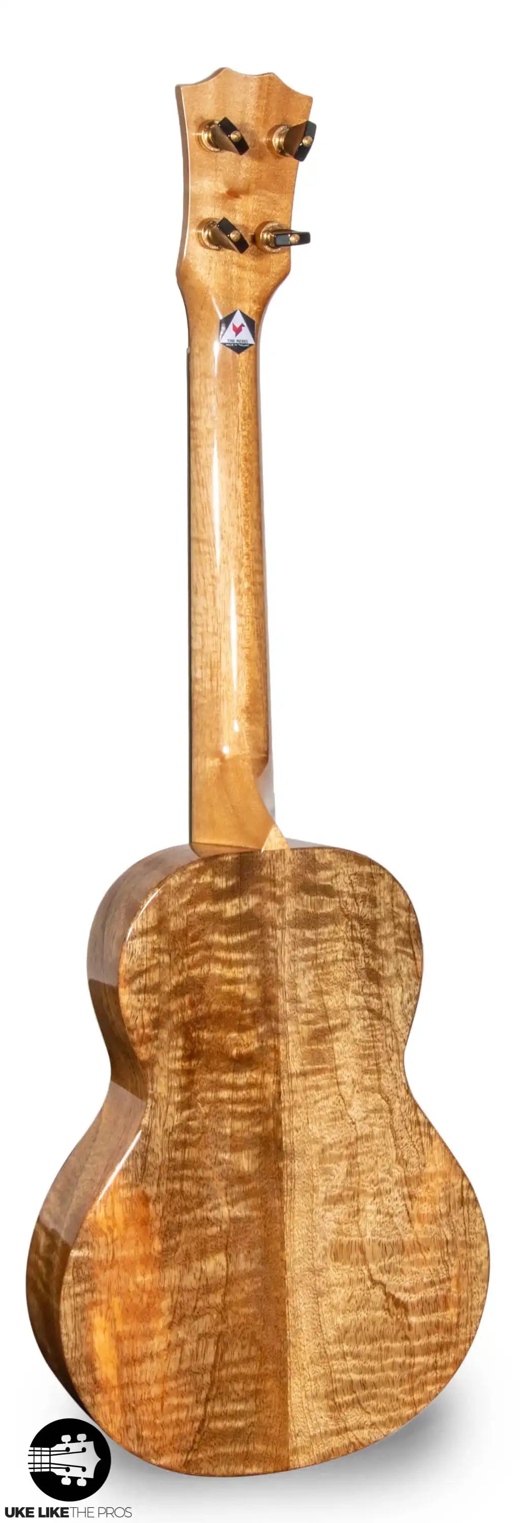 RebelArwen_004 | Terry Carter Music Store