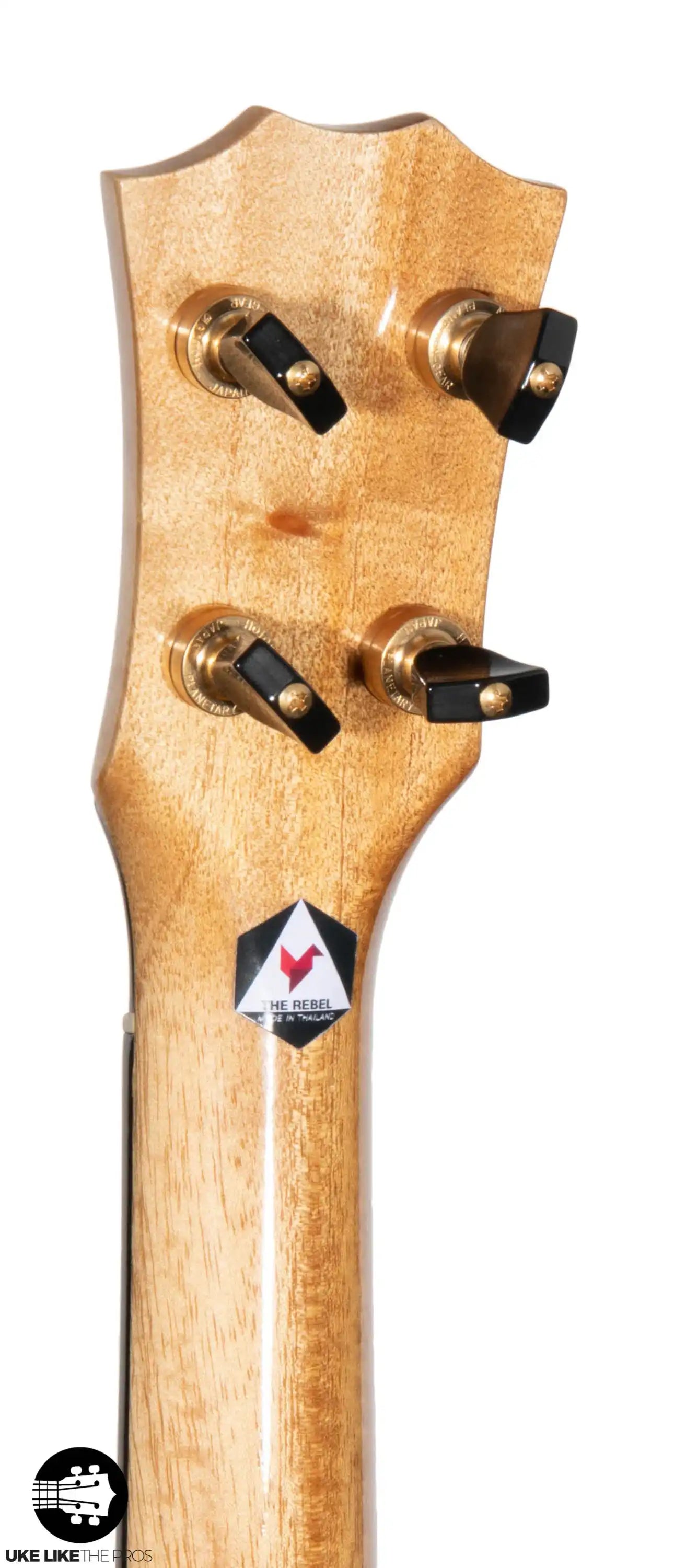 RebelArwen_005 | Terry Carter Music Store