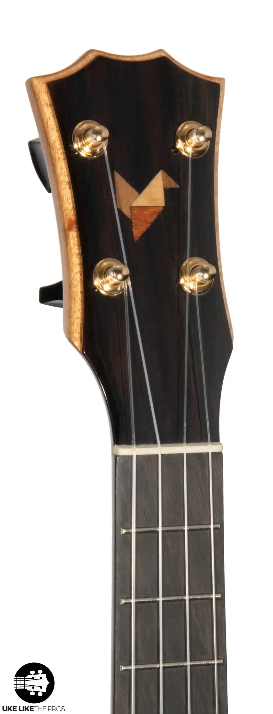 RebelArwen_006 | Terry Carter Music Store