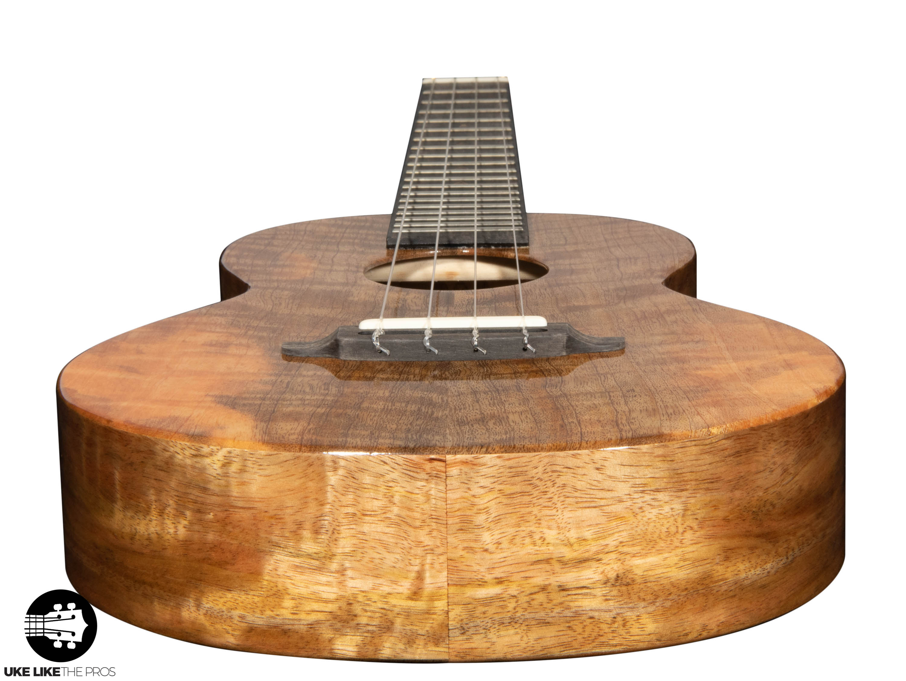 RebelCardi_001 | Terry Carter Music Store