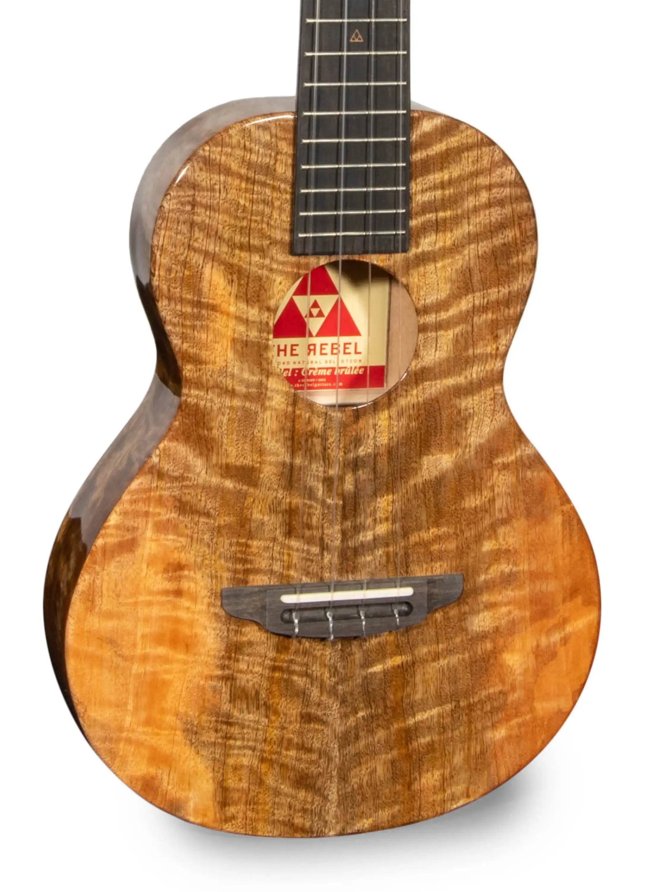 RebelCardi_002-2 | Terry Carter Music Store