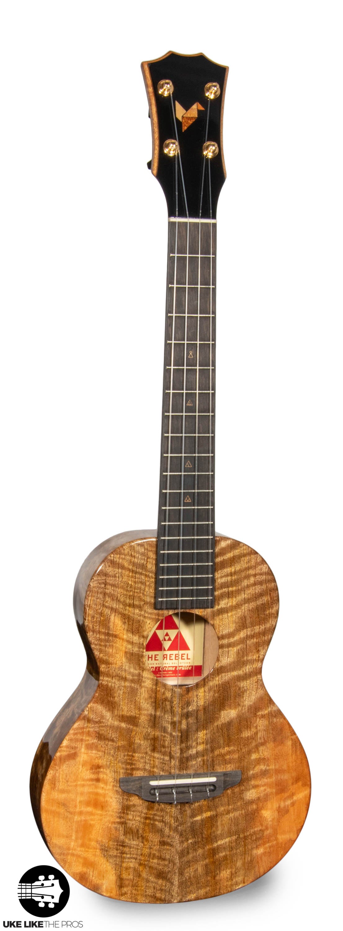 RebelCardi_002 | Terry Carter Music Store