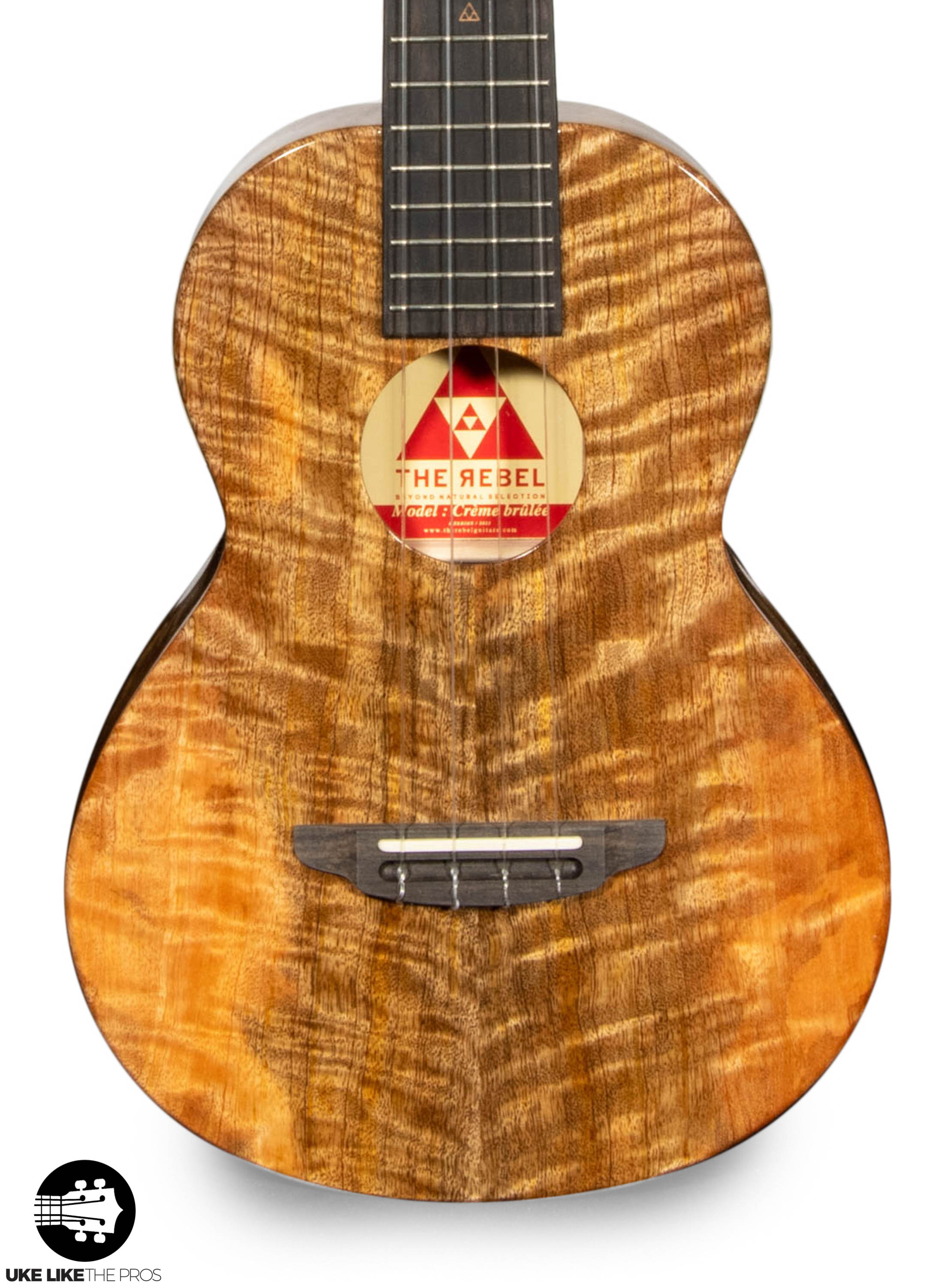 RebelCardi_003 | Terry Carter Music Store