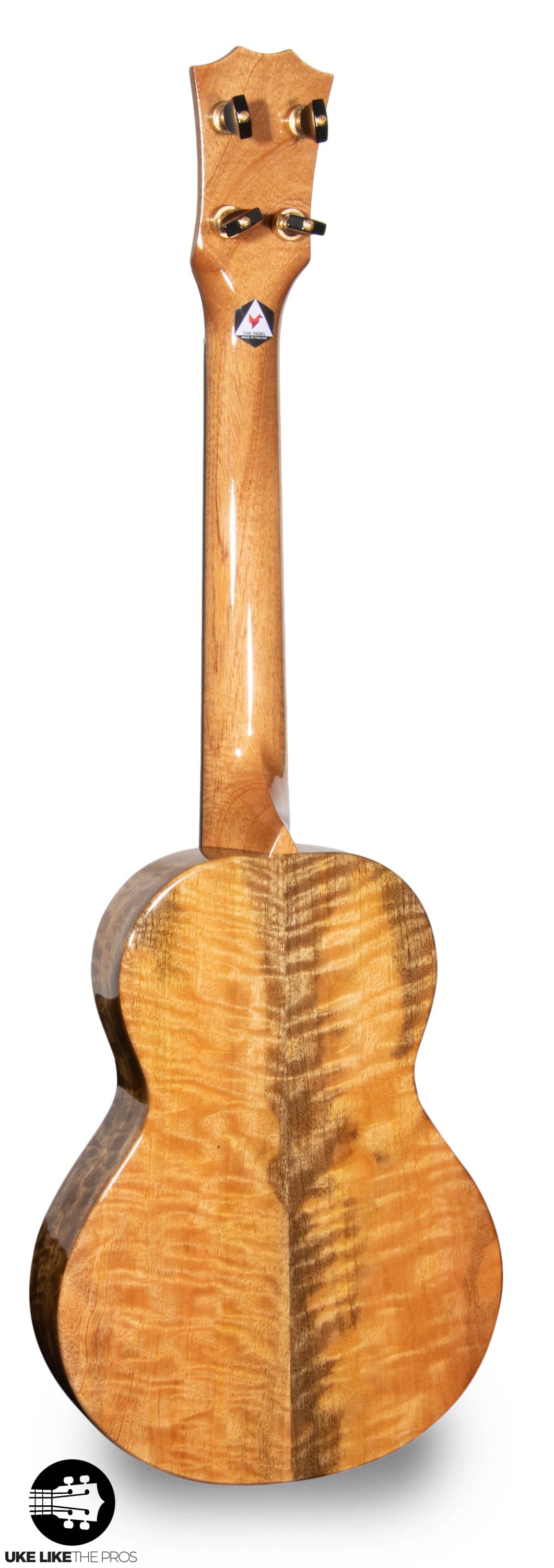 RebelCardi_004 | Terry Carter Music Store