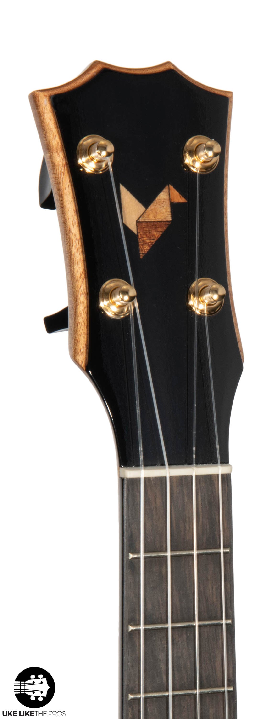 RebelCardi_005 | Terry Carter Music Store