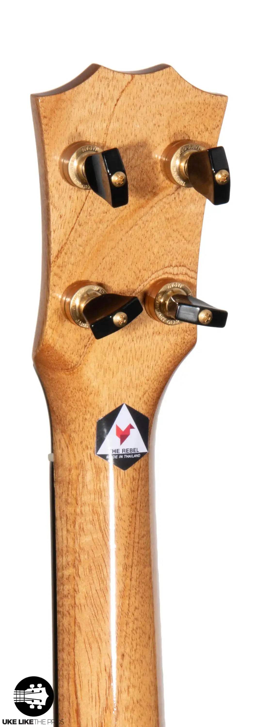 RebelCardi_006 | Terry Carter Music Store