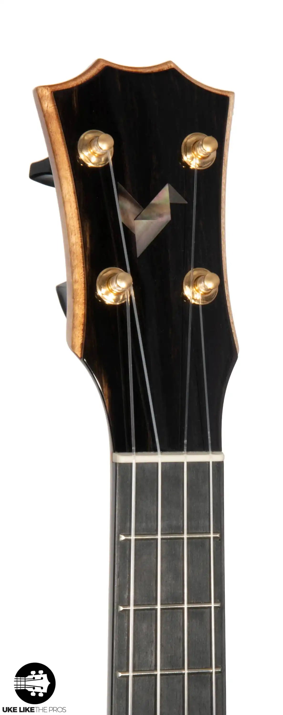 RebelInvicustfinnigan_001 | Terry Carter Music Store