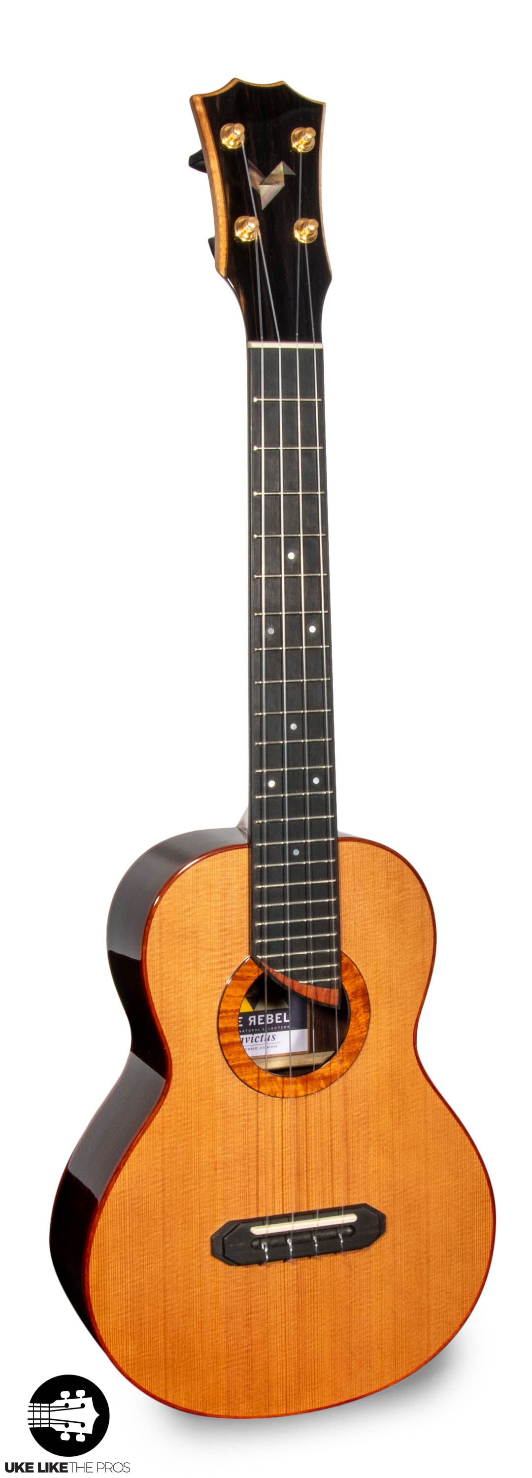 Rebel Double Invictus Tenor Ukulele Solid Cedar Top Rosewood "Finnigan"