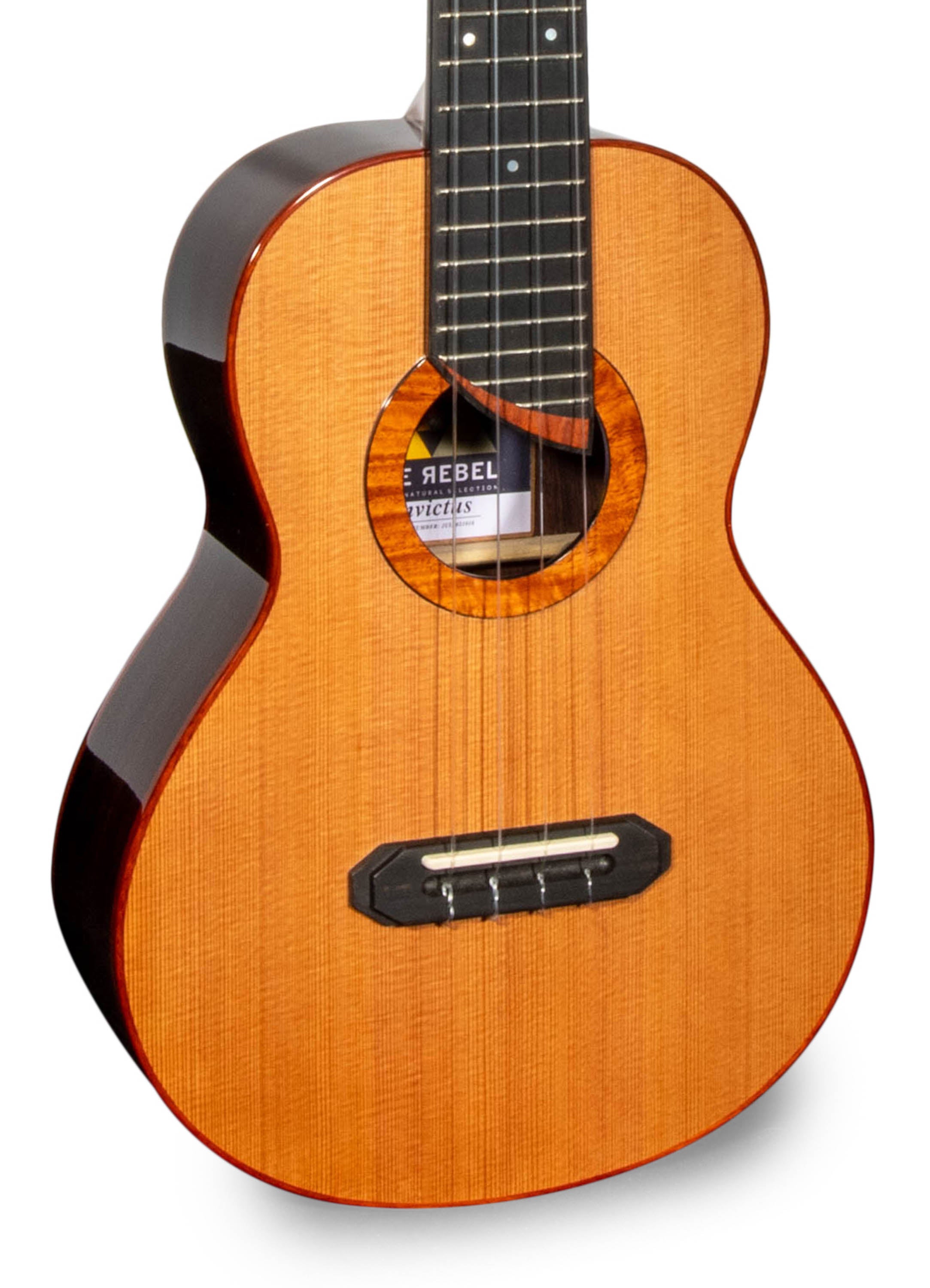 Rebel Double Invictus Tenor Ukulele Solid Cedar Top Rosewood "Finnigan"