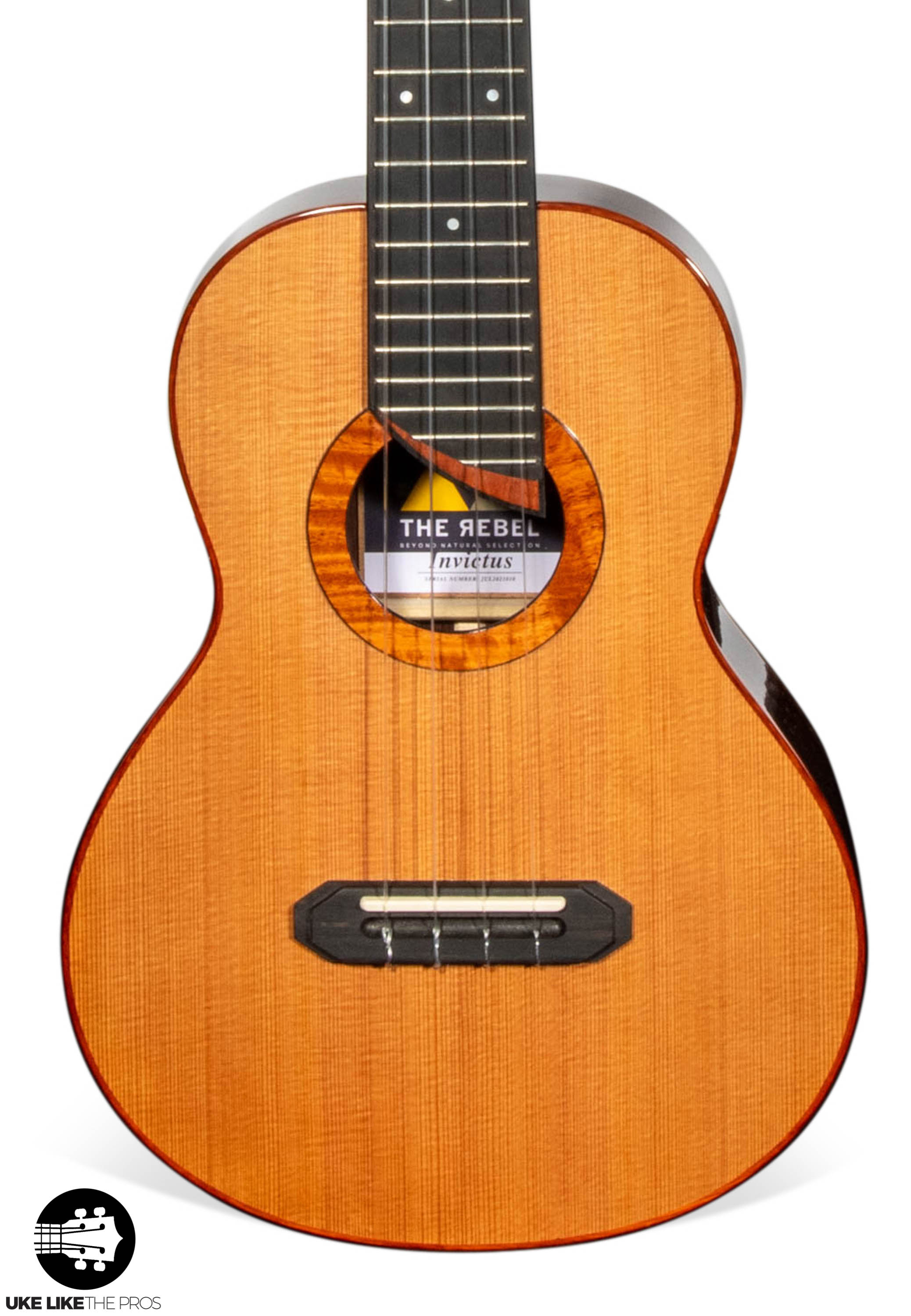 Rebel Double Invictus Tenor Ukulele Solid Cedar Top Rosewood "Finnigan"