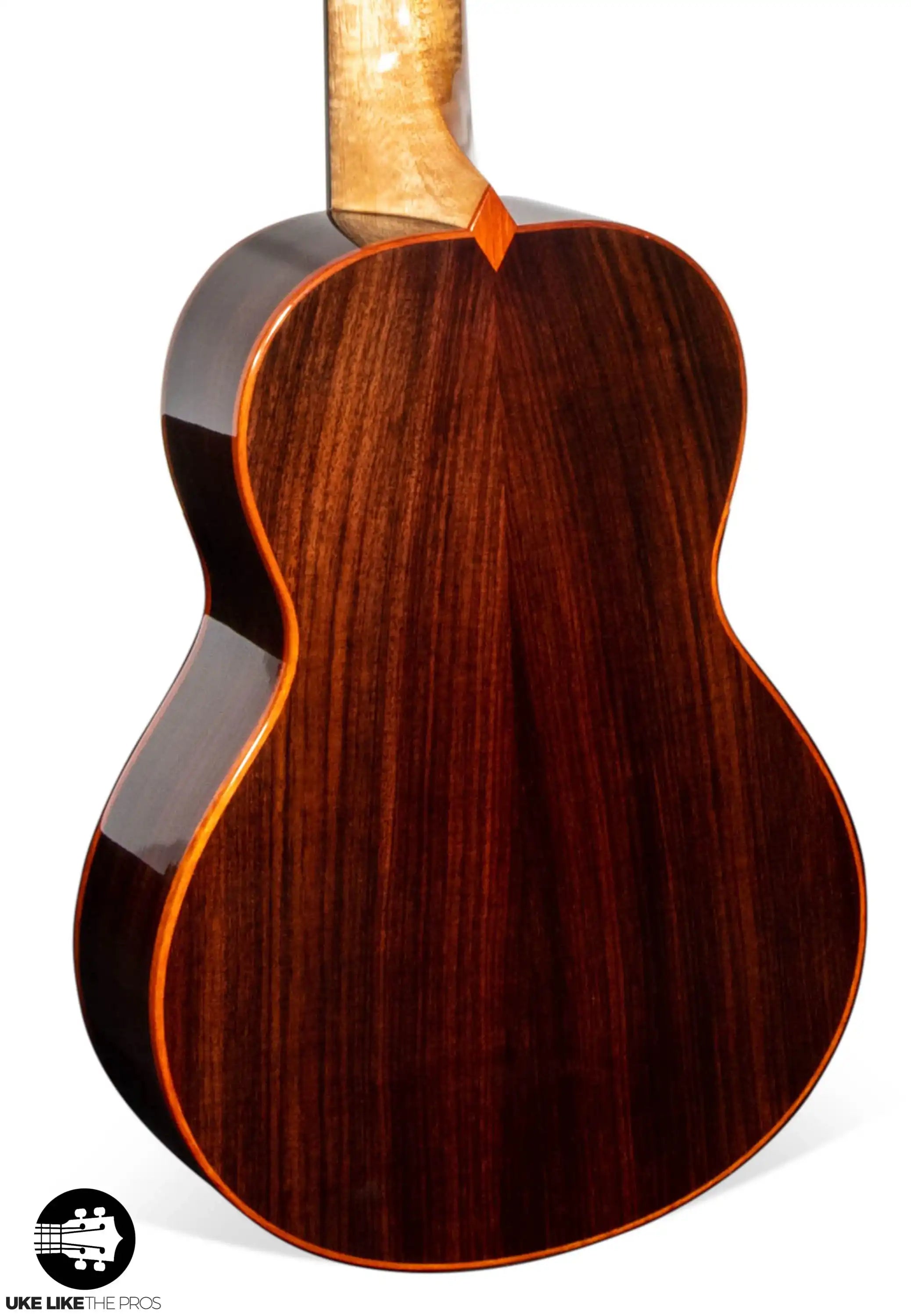 RebelInvicustfinnigan_005-2 | Terry Carter Music Store