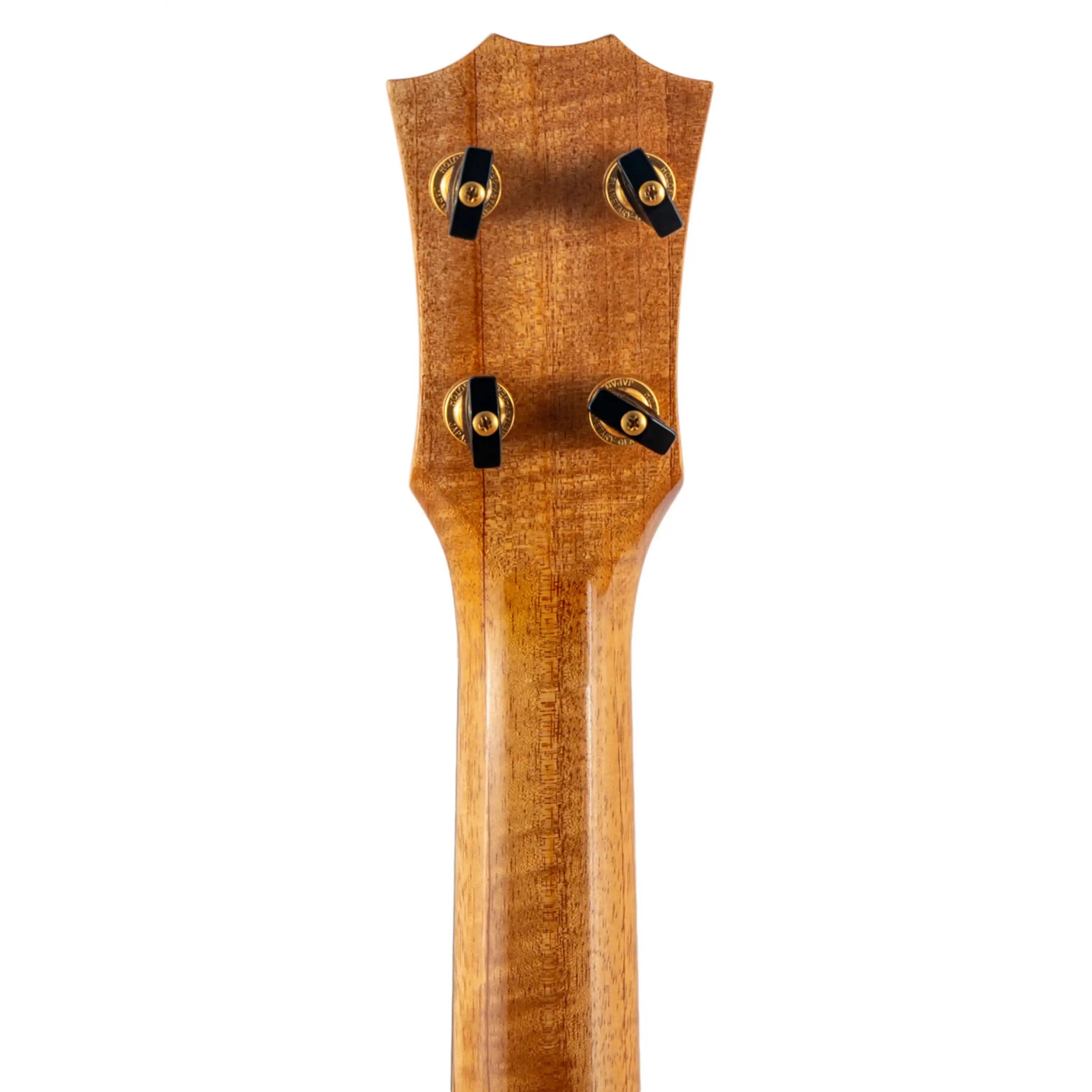 Rear view of ukulele headstock with gold tuners and natural wood grain at Terry Carter Music Store