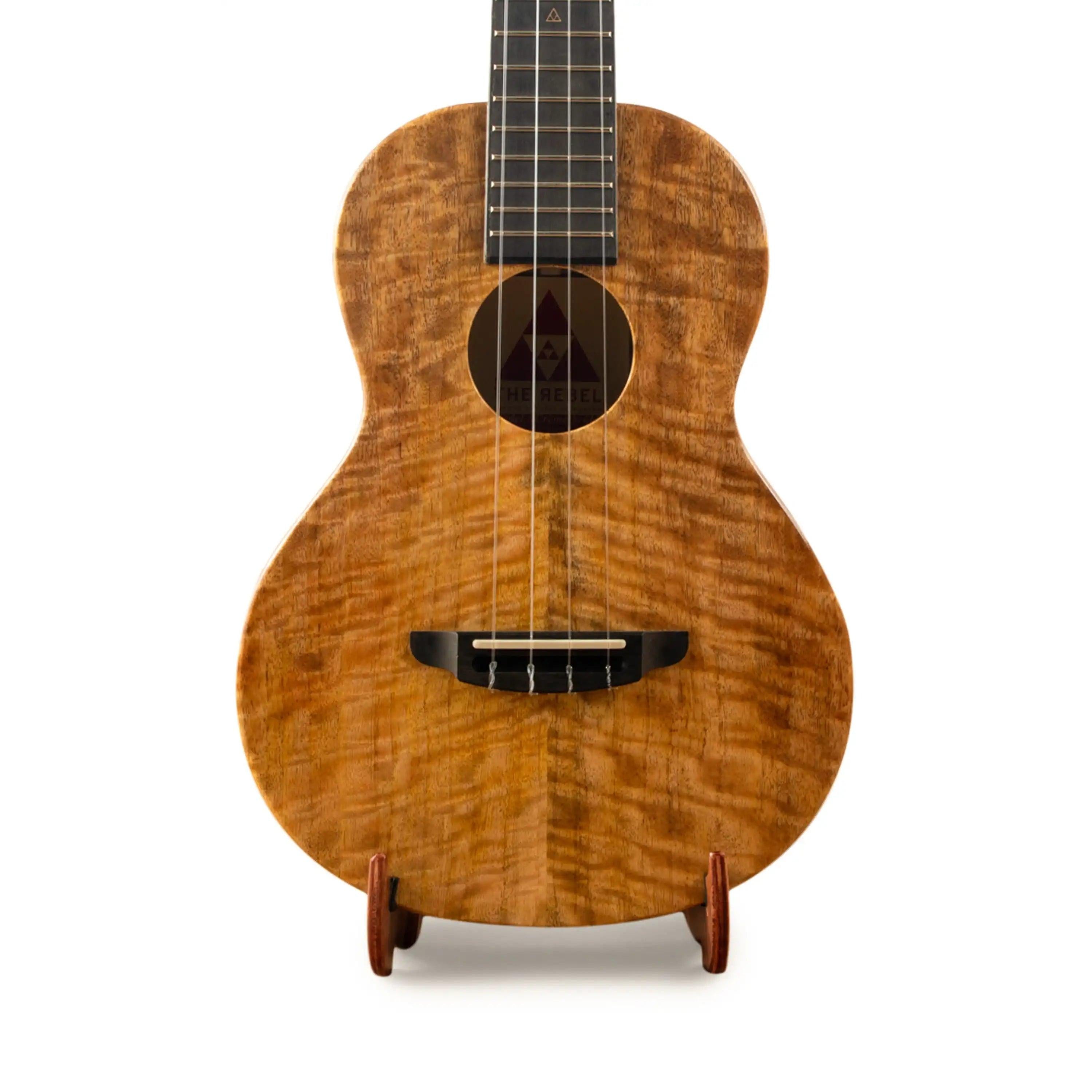 Rebel ukulele with figured wood grain top, displayed on a stand at Terry Carter Music Store.