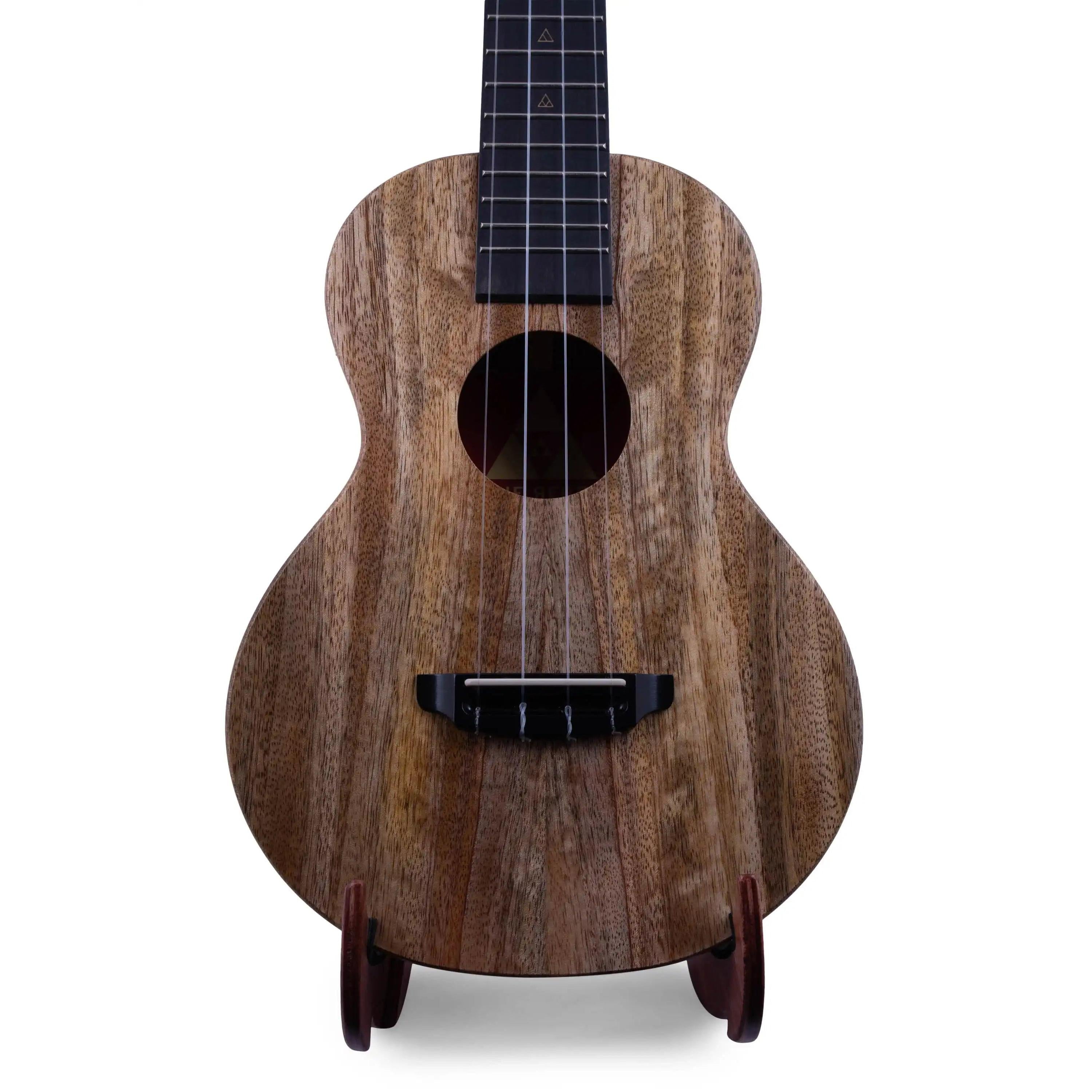 Rebel Concert ukulele with natural wood finish on stand, Terry Carter Music Store