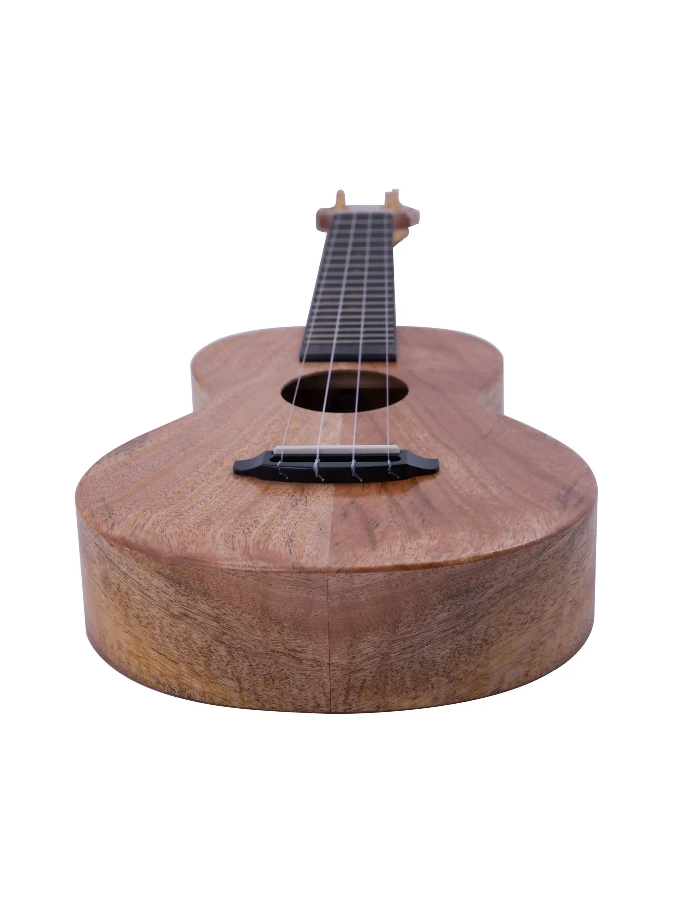 Rebel natural wood concert ukulele with matte finish at Terry Carter Music Store, front angle view