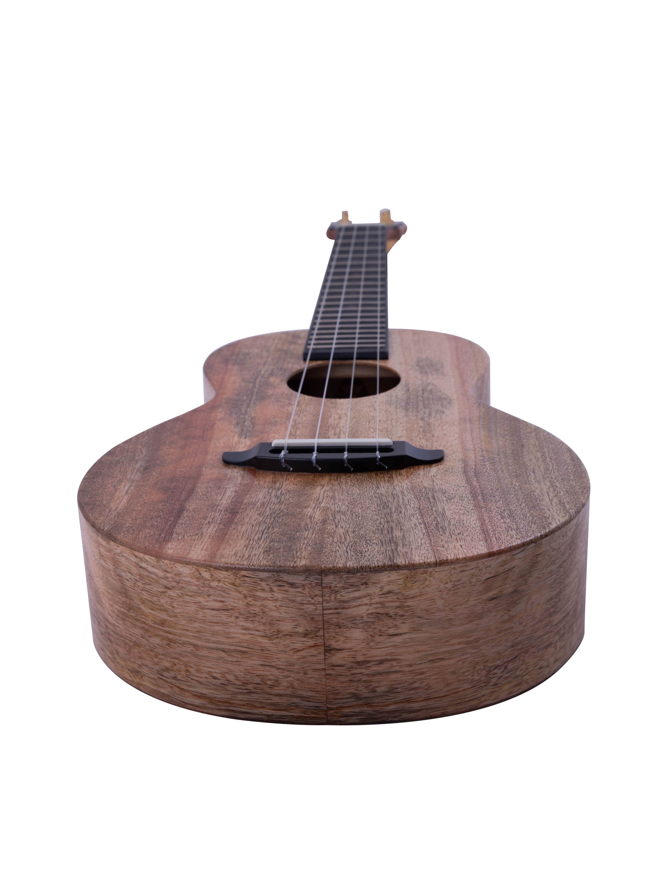 Rebel Double Creme Tenor Ukulele Solid Mango "Sea Horse" Satin Finish