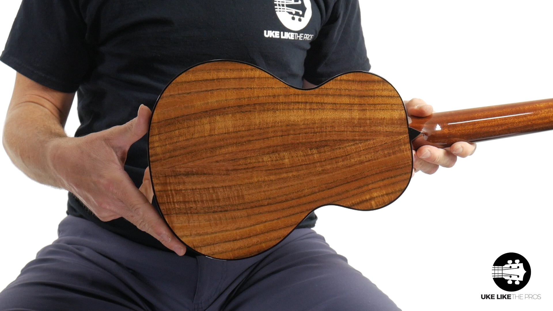 Rebel Pluto Tenor Ukulele Solid Spruce Top and Curly Acacia "Imperial Guard"