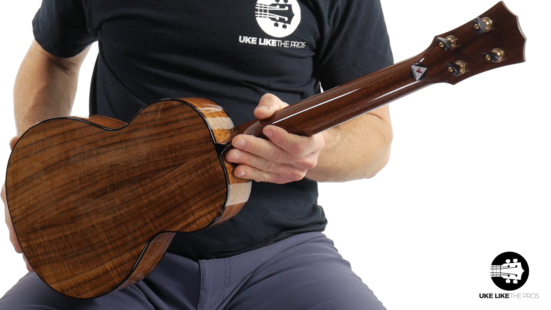 Rebel Pluto Tenor Ukulele Solid Spruce Top and Curly Acacia "Imperial Guard"