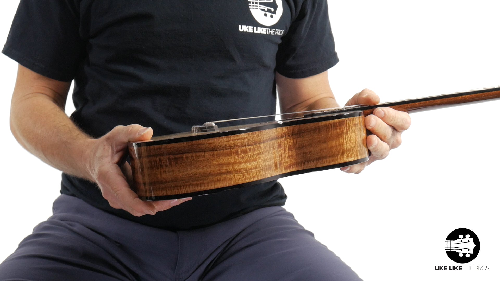 Rebel Pluto Tenor Ukulele Solid Spruce Top and Curly Acacia "Imperial Guard"