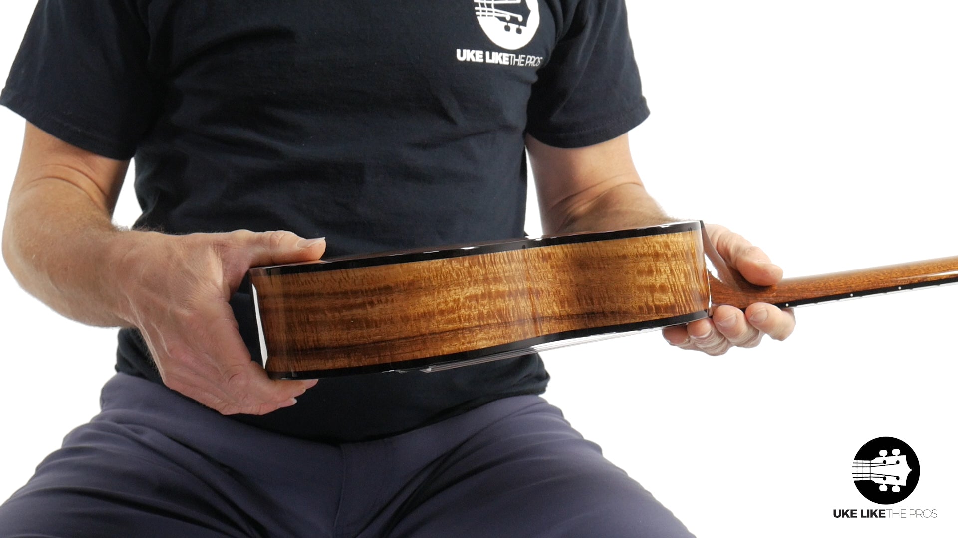 Rebel Pluto Tenor Ukulele Solid Spruce Top and Curly Acacia "Imperial Guard"