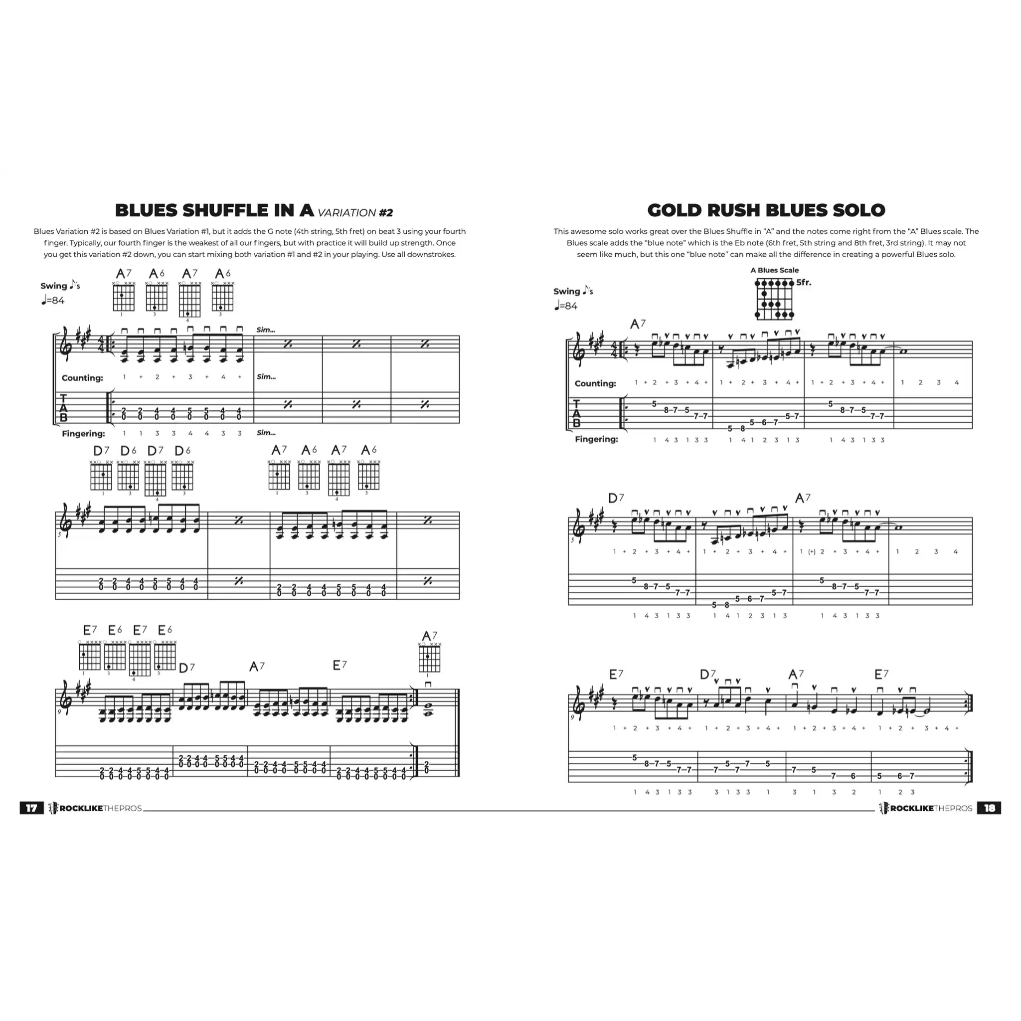 RockLikeTheProsBeginningBluesGuitarMasteryBook-music | Terry Carter Music Store
