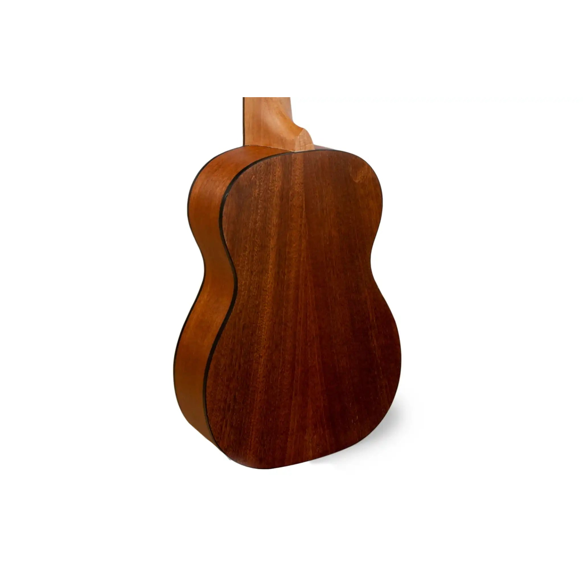 StaggUCTikiMaioConcertUkulele_Lemonhead_-back | Terry Carter Music Store