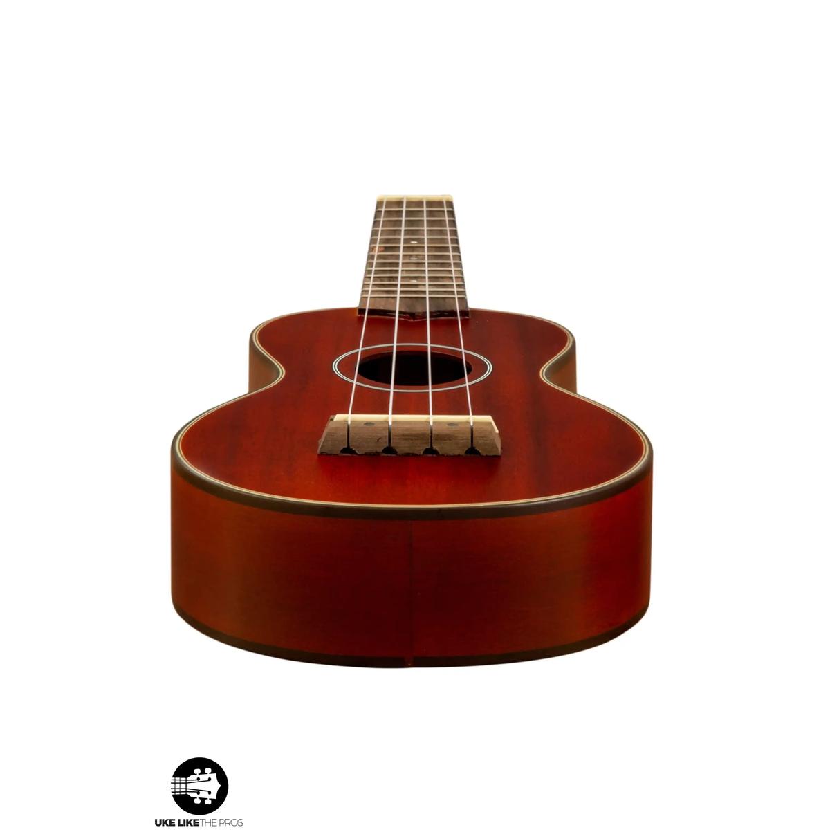 Stagg_US40_S_Sublime_007 | Terry Carter Music Store