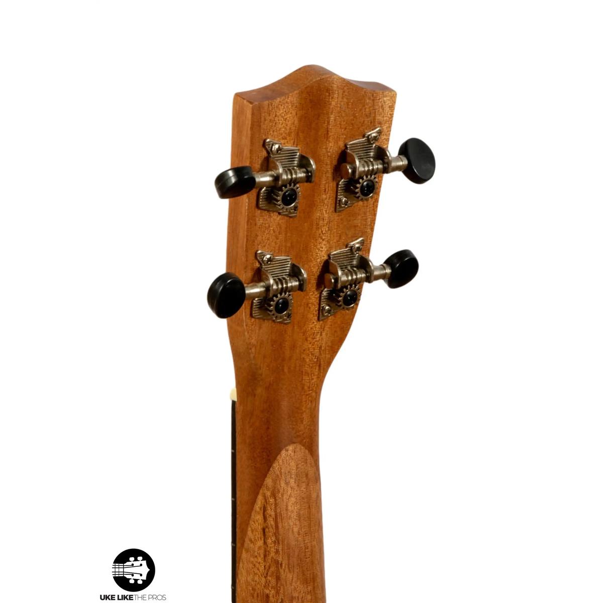 Stagg_US_Tiki_AH_Weezer_006 | Terry Carter Music Store