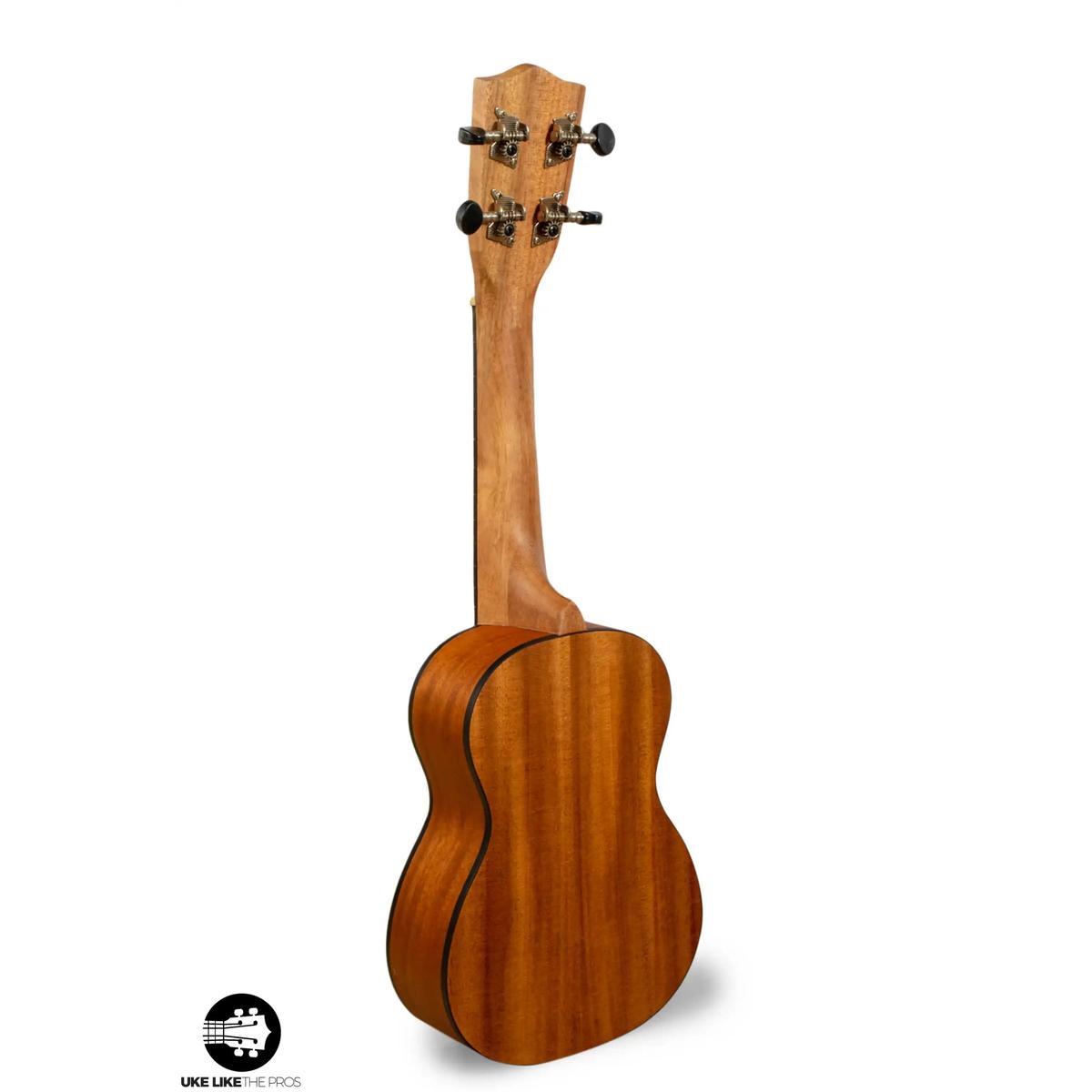 Stagg_US_Tiki_EH_Verve_004 | Terry Carter Music Store