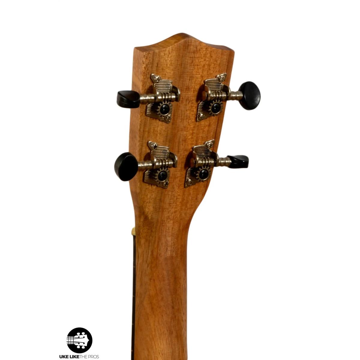 Stagg_US_Tiki_EH_Verve_006 | Terry Carter Music Store