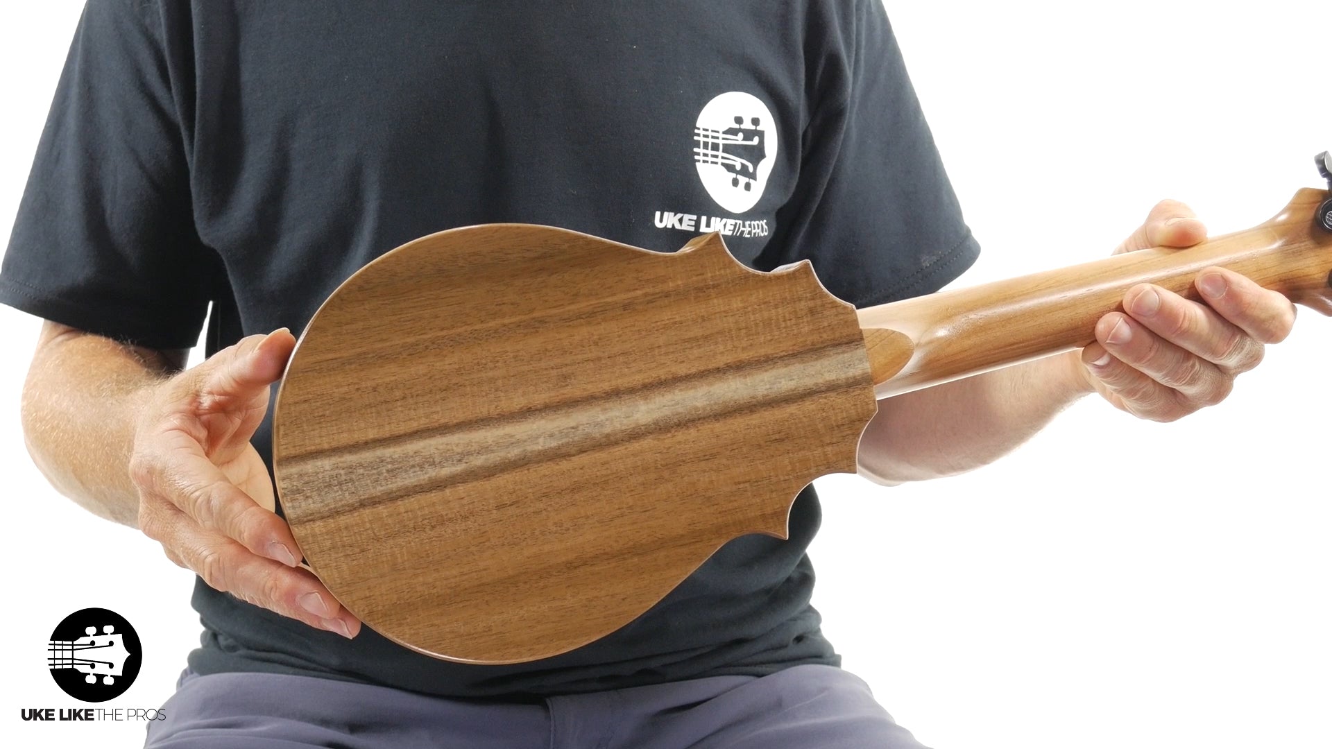 UkeSA Pineapple Sunday Opio Concert Ukulele Acacia "White Fang"