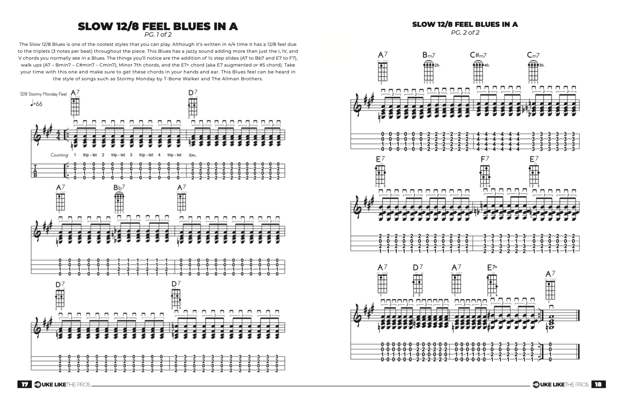Ukulele Blues Mastery Book Terry Carter