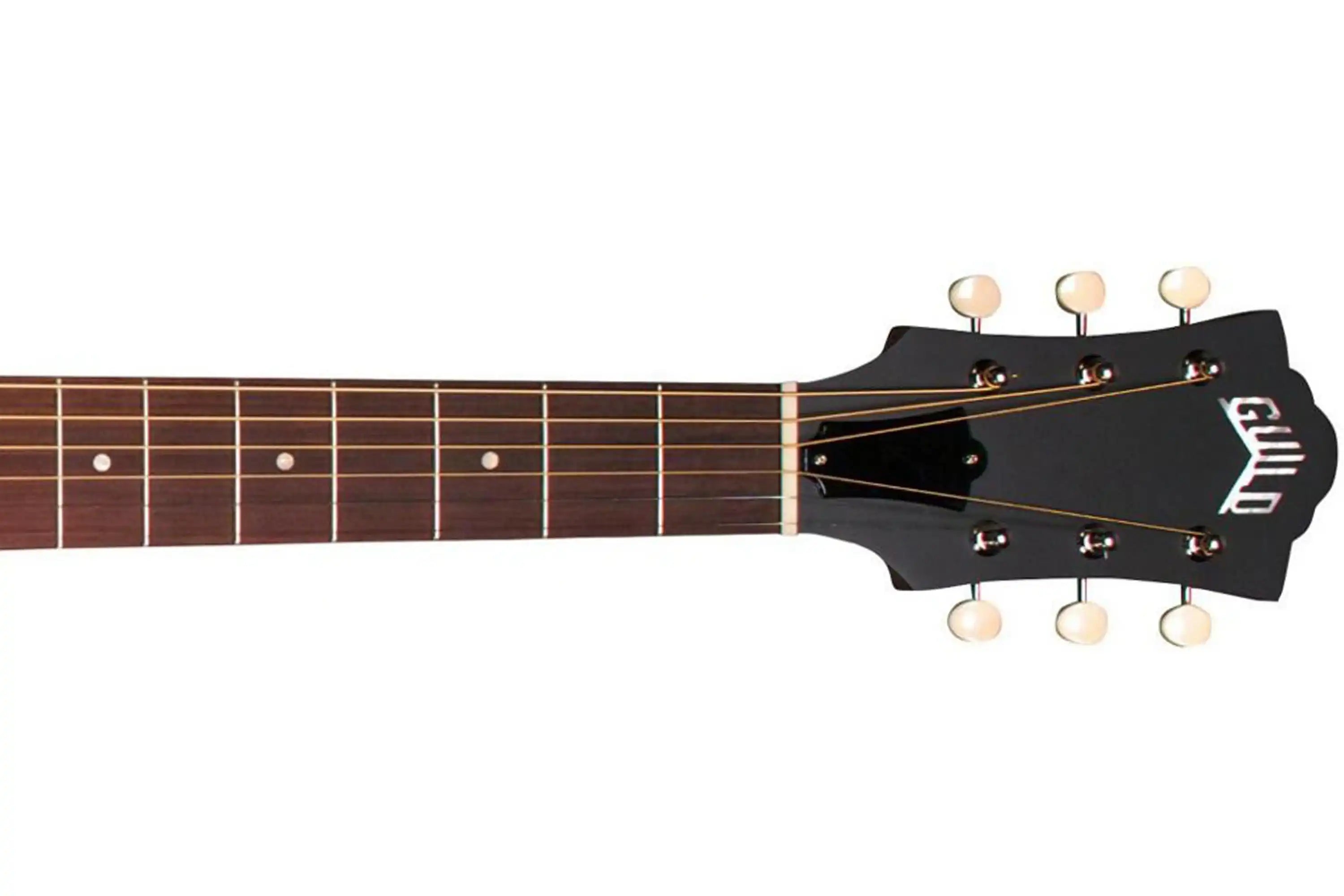 headstock | Terry Carter Music Store