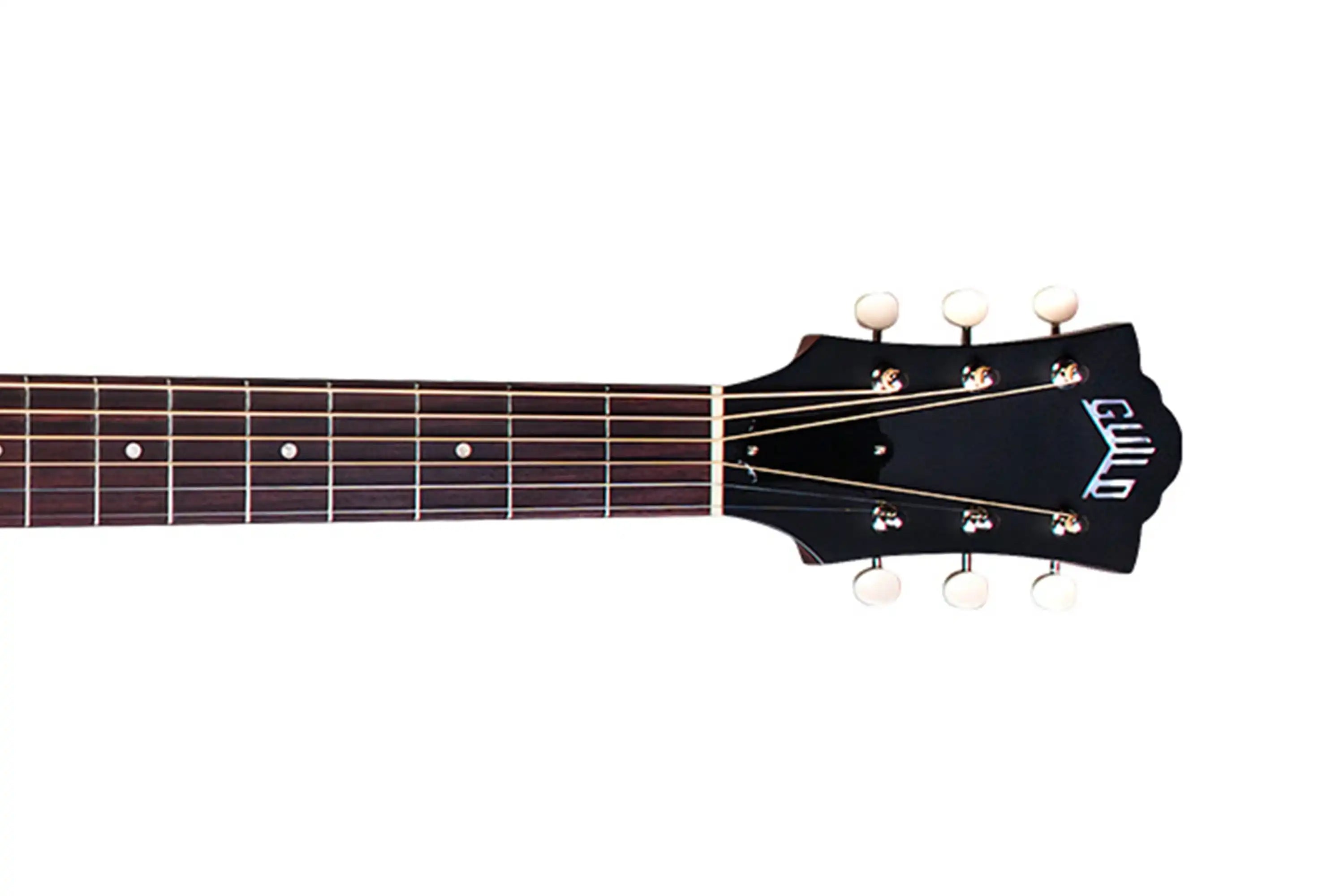 headstockzoomed | Terry Carter Music Store