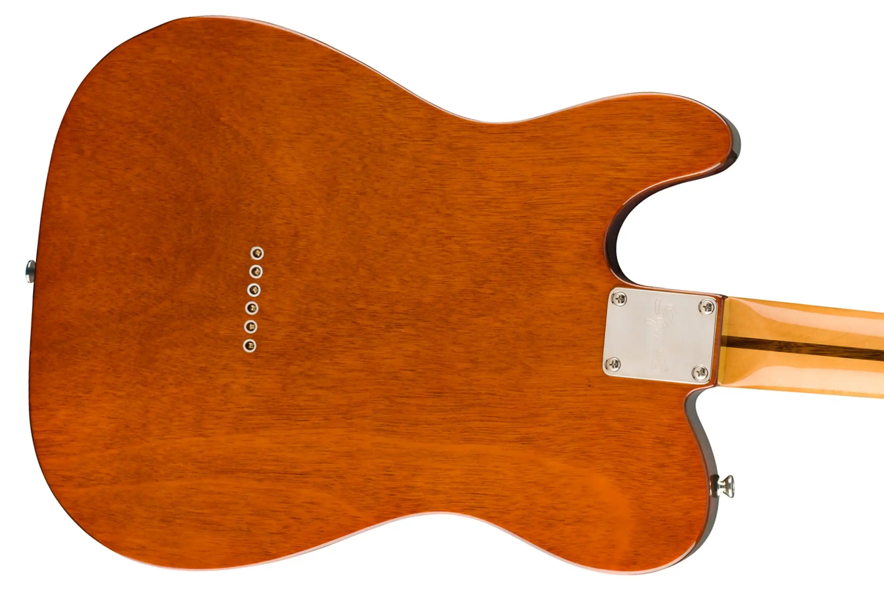 thinlinebackzoom | Terry Carter Music Store