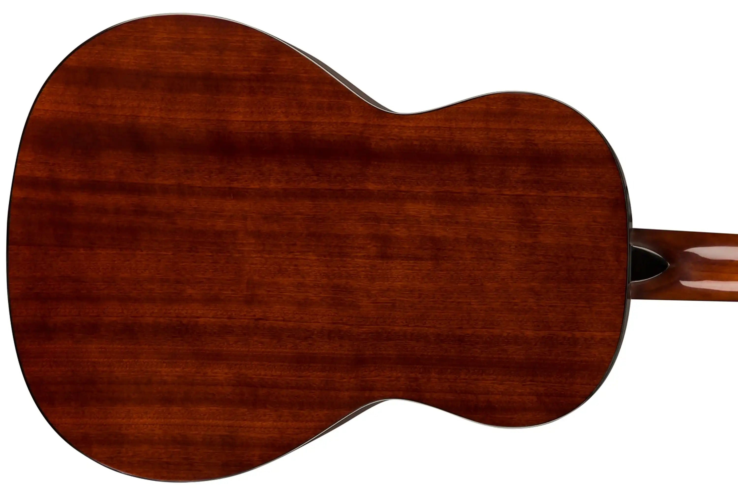 zoomedback15n | Terry Carter Music Store