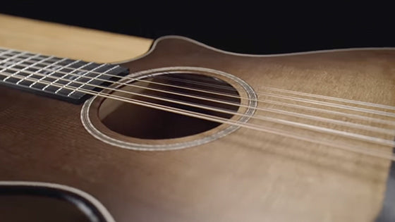 マイリトルテイラー/セミオーダー Taylor Custom Shop Select 714ce Rosewood AA/Lutz Spruce, Maple