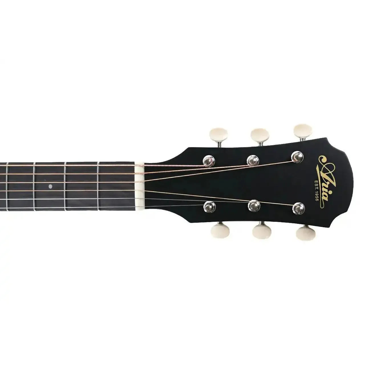 101UP_STGR_2 | Terry Carter Music Store