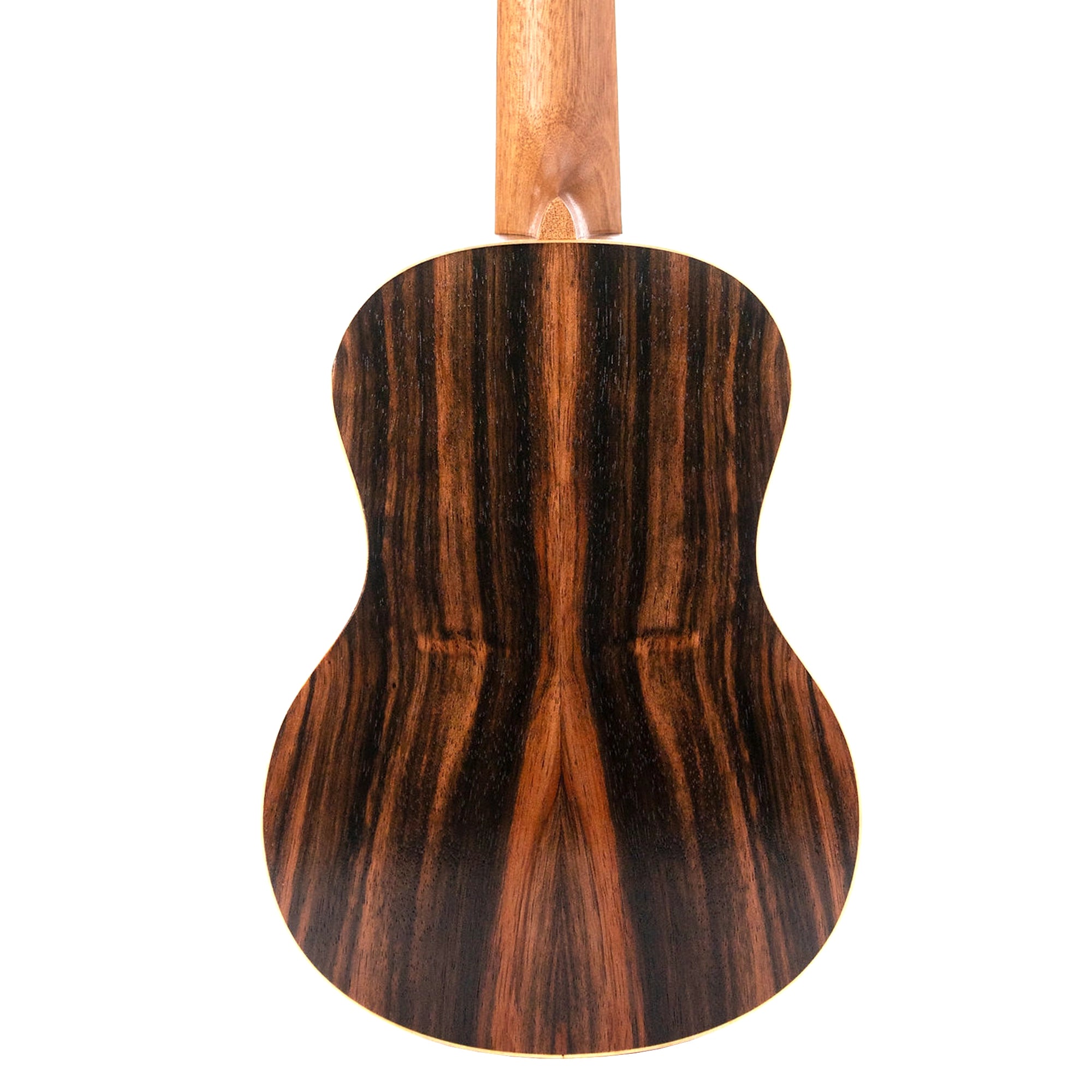 The Leolani T24G rear view highlights the striking Macassar ebony back and curly maple binding.