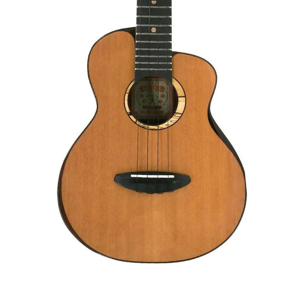 1_2a1f946c-38e7-4b30-a978-bd12a7be653c | Terry Carter Music Store