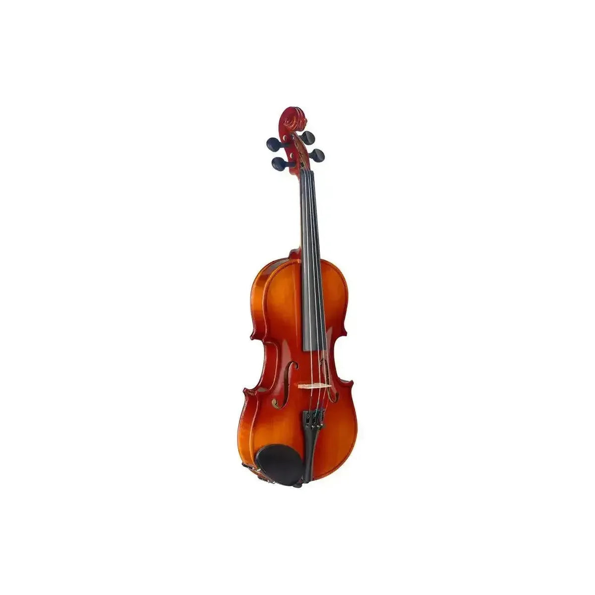 1_2a554ab6-296a-470a-bc12-102317815a56 | Terry Carter Music Store