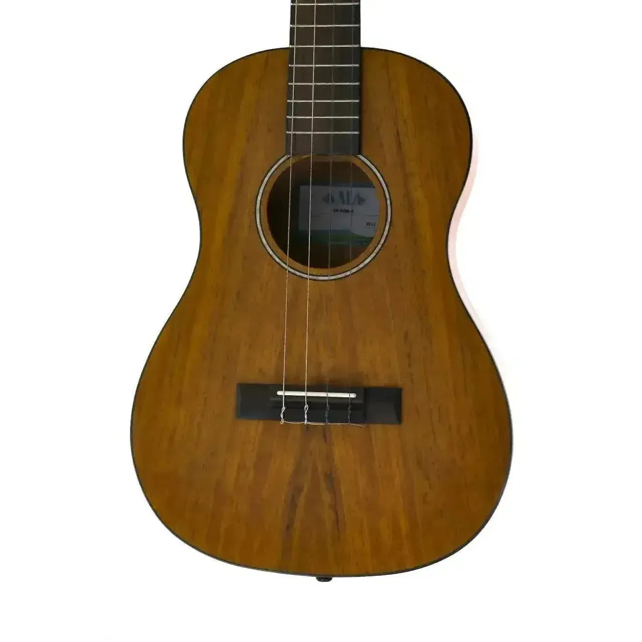 1_5e9fe6f3-efd0-4c88-b6dc-1ccc8b9e9841 | Terry Carter Music Store