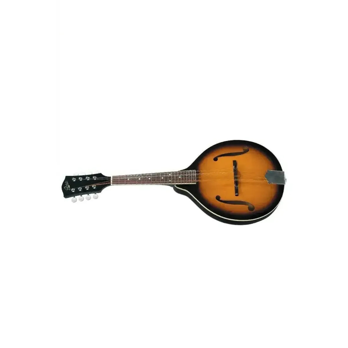 1_9024fc5a-4641-4d8b-a0cb-2a1ddefa3cba | Terry Carter Music Store