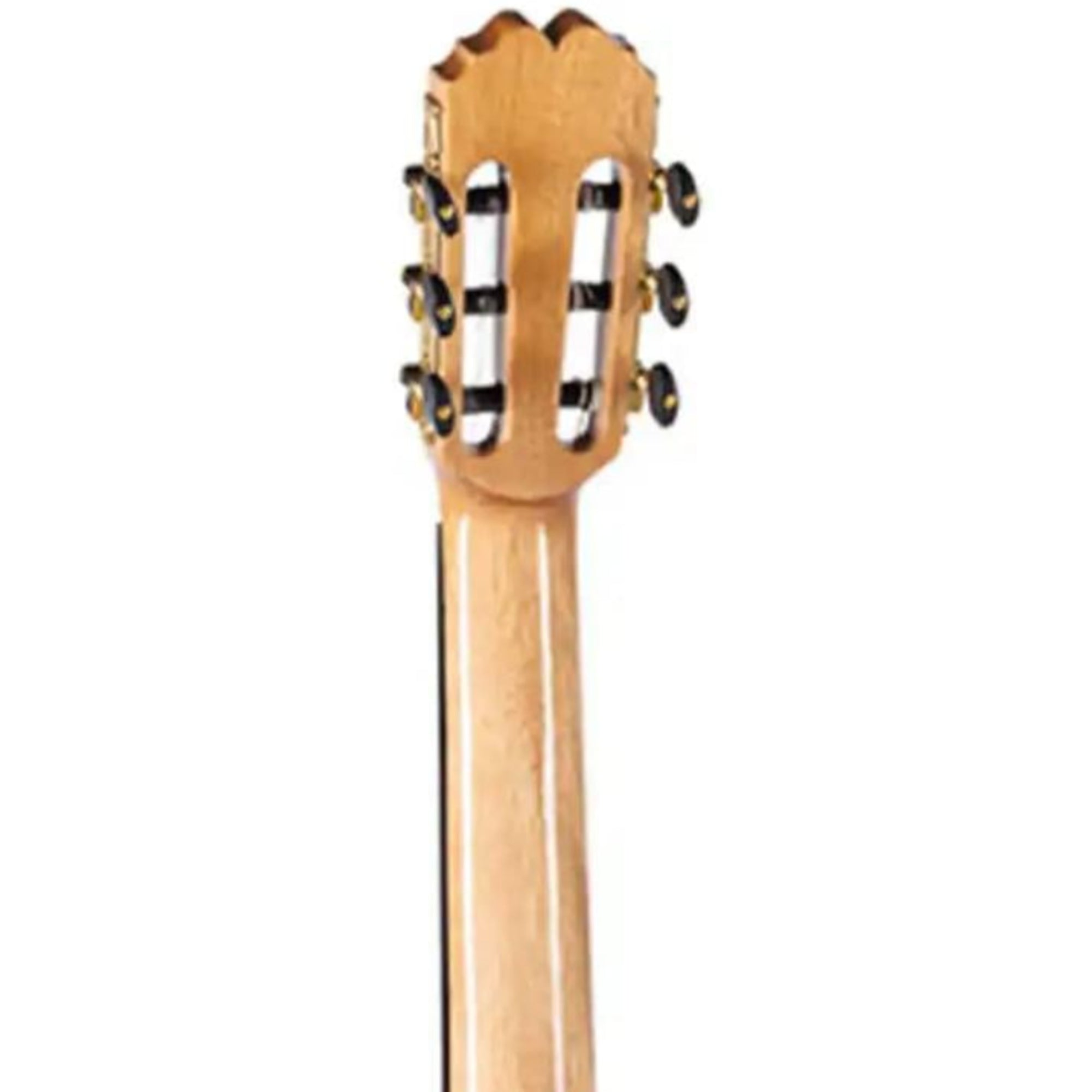 1_a2b379f4-8f32-48ce-aa47-10c159f605cd | Terry Carter Music Store