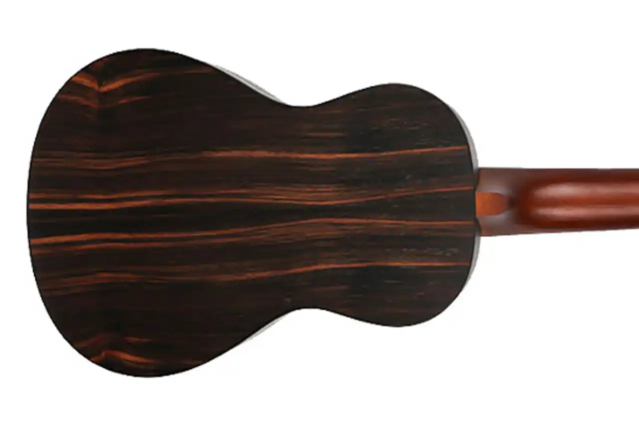 1_c06e7ce7-5d59-49a1-9446-f694464d759b | Terry Carter Music Store