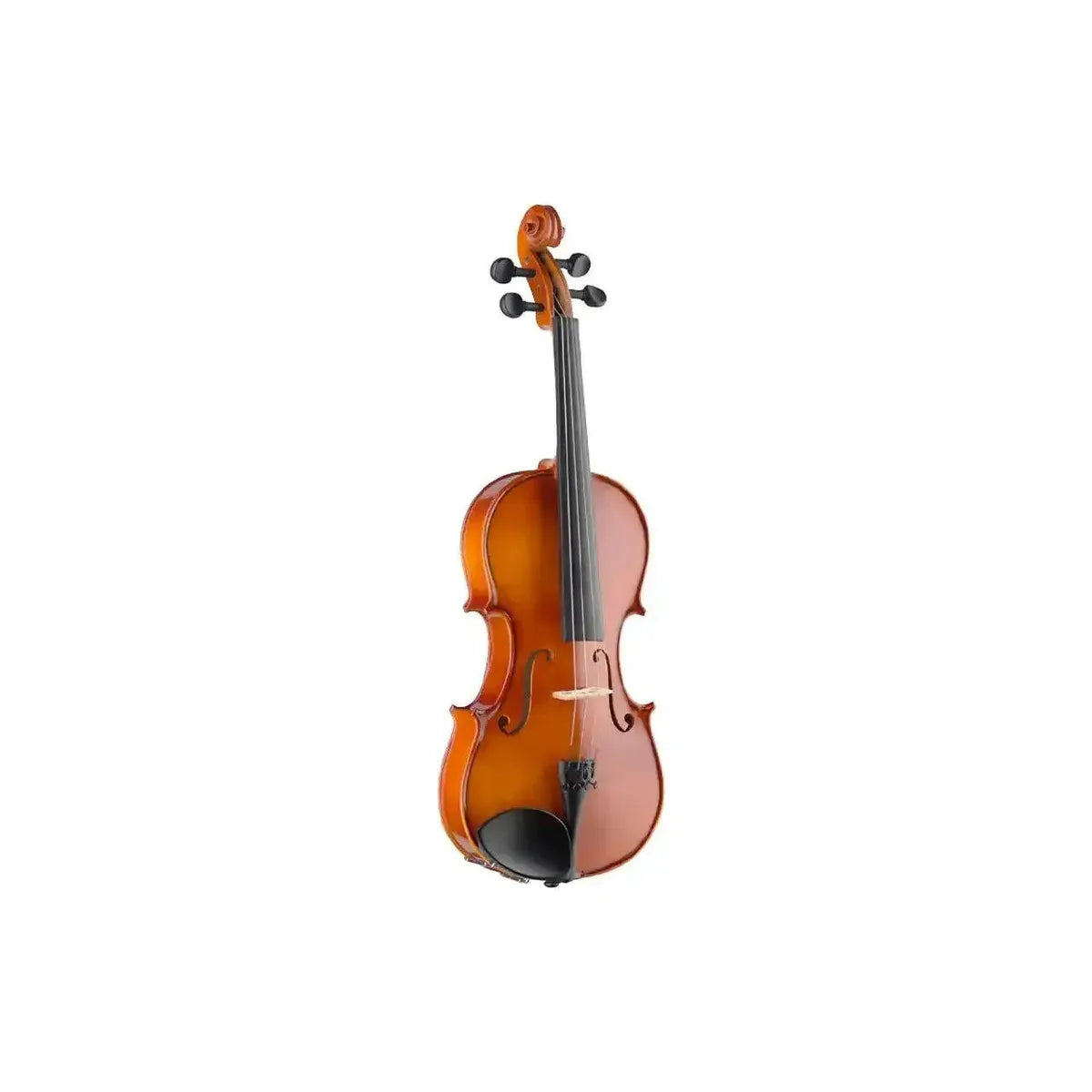 1_d36835f8-60d7-4db3-b48f-732b77891fb4 | Terry Carter Music Store