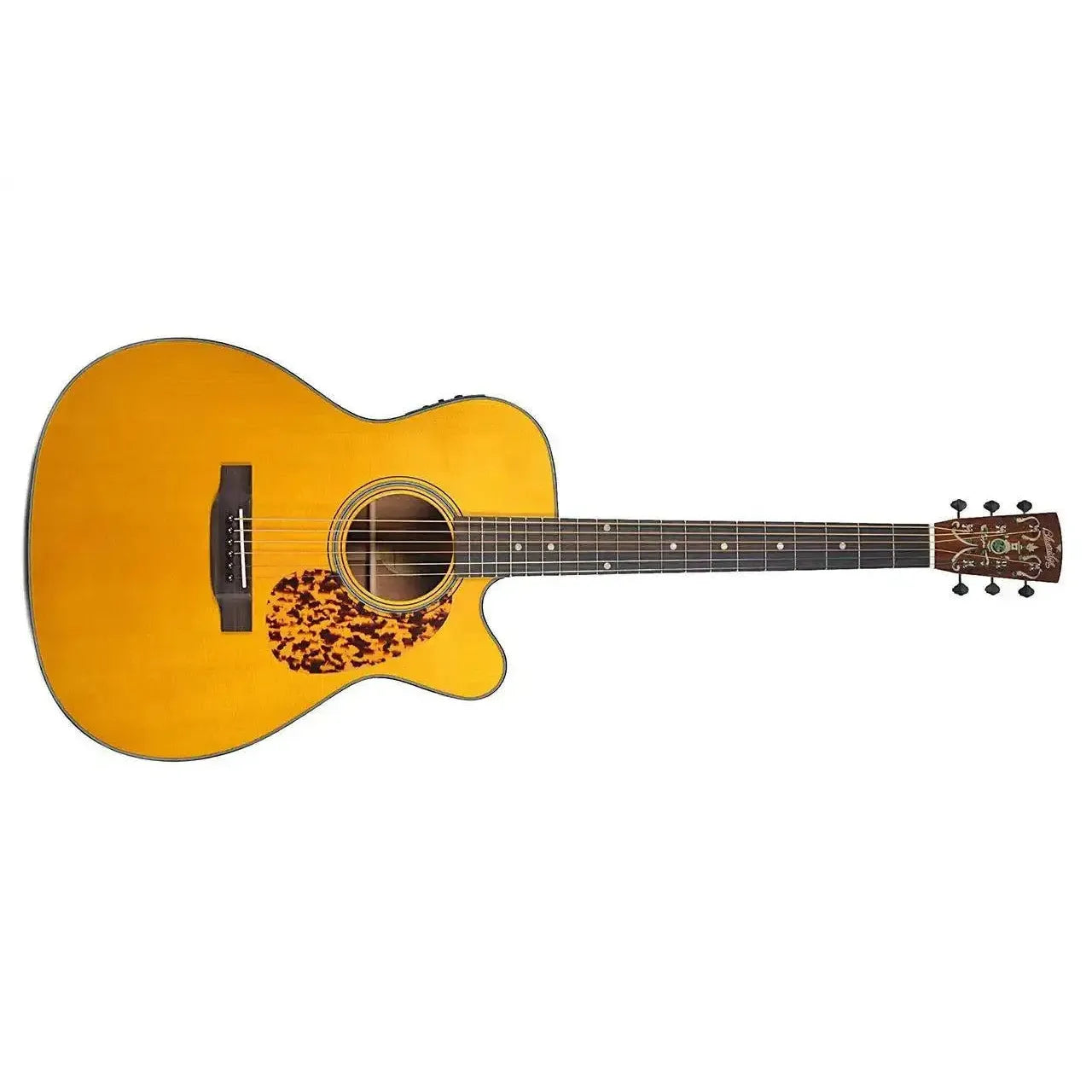 1_d3e6f268-e13f-4528-83f2-67b9c299610d | Terry Carter Music Store