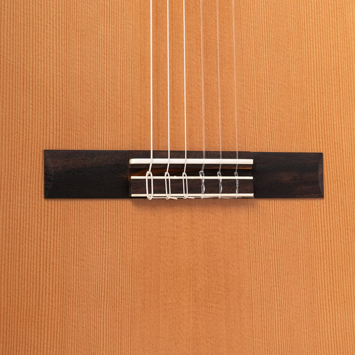 Angel Lopez Alicante CM rosewood bridge with bone saddle on the cedar top